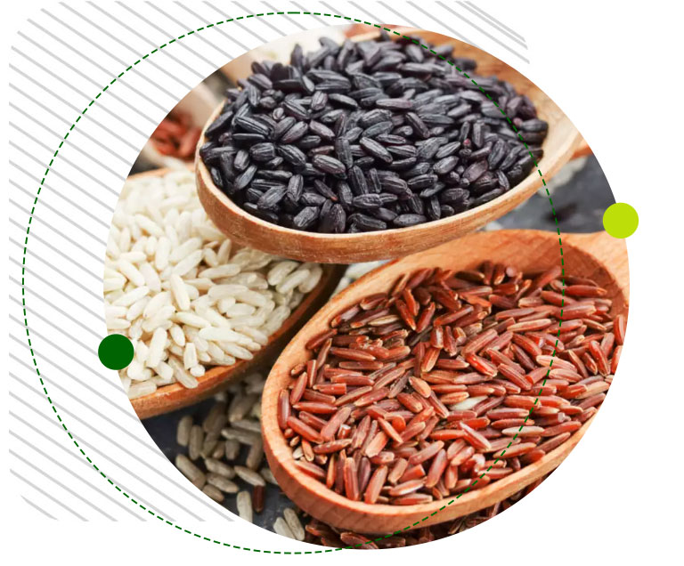 Turnkey Solution Image