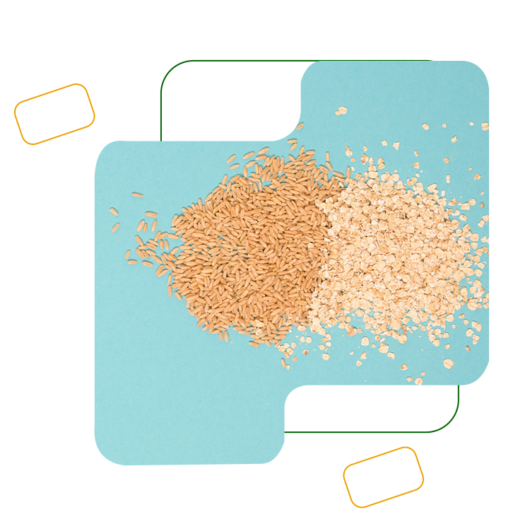 Turnkey Solution Image