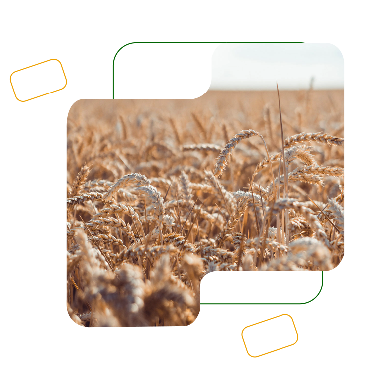 Turnkey Solution Image